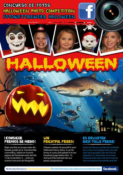 concurso-halloween
