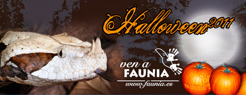 Celebra Halloween en Faunia