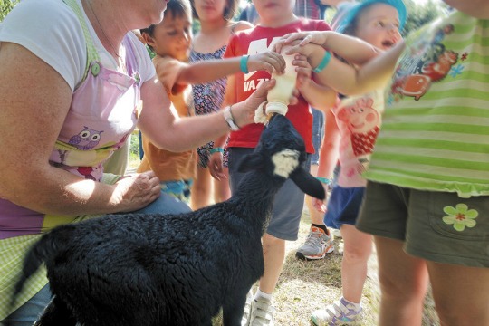 Turismo rural con niños 5