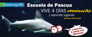 Escuela de Pascua 2011 en el Oceanogràfic de Valencia