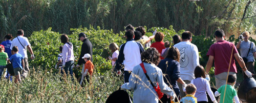 Enoturismo para familias en La Rioja