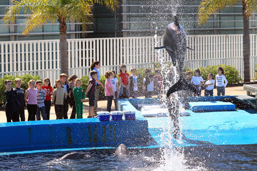 Oceanografic Escuela de Pascua 2012