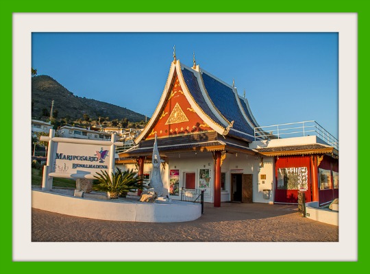 Mariposario  de Benalmádena