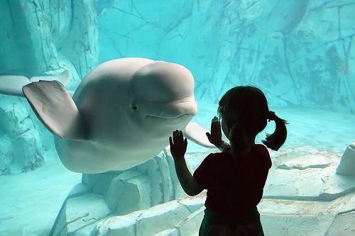 Oceanogràfic Valencia