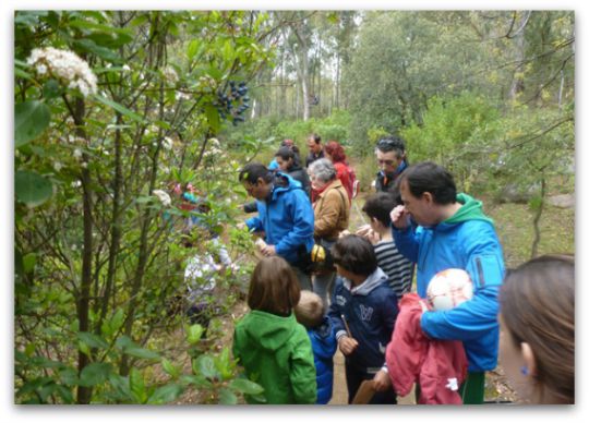 Educación ambiental 1