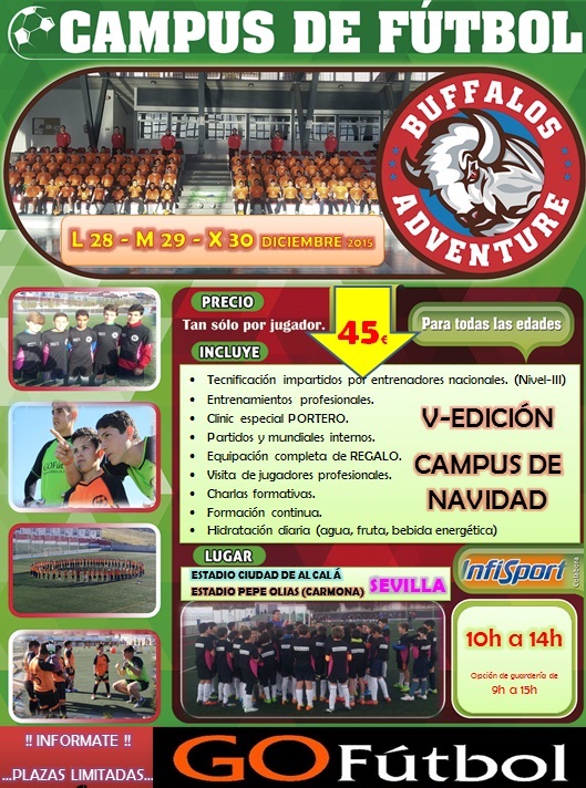 Campamentos Navidad 2015 2