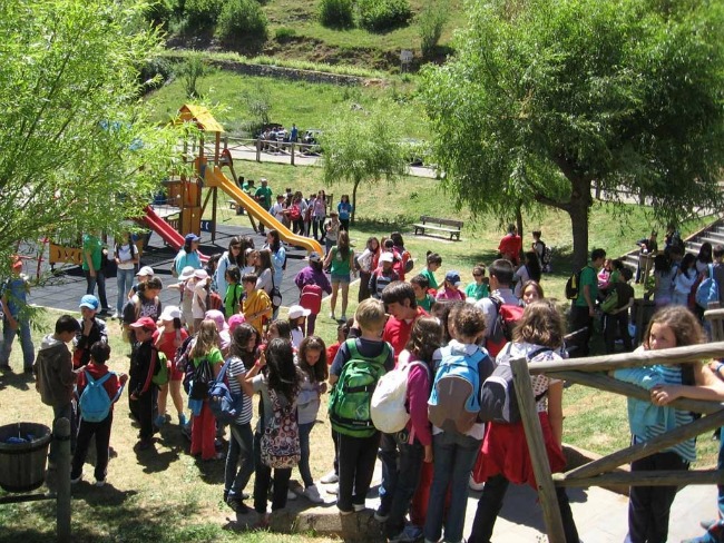 campamentos en inglés para niños 2